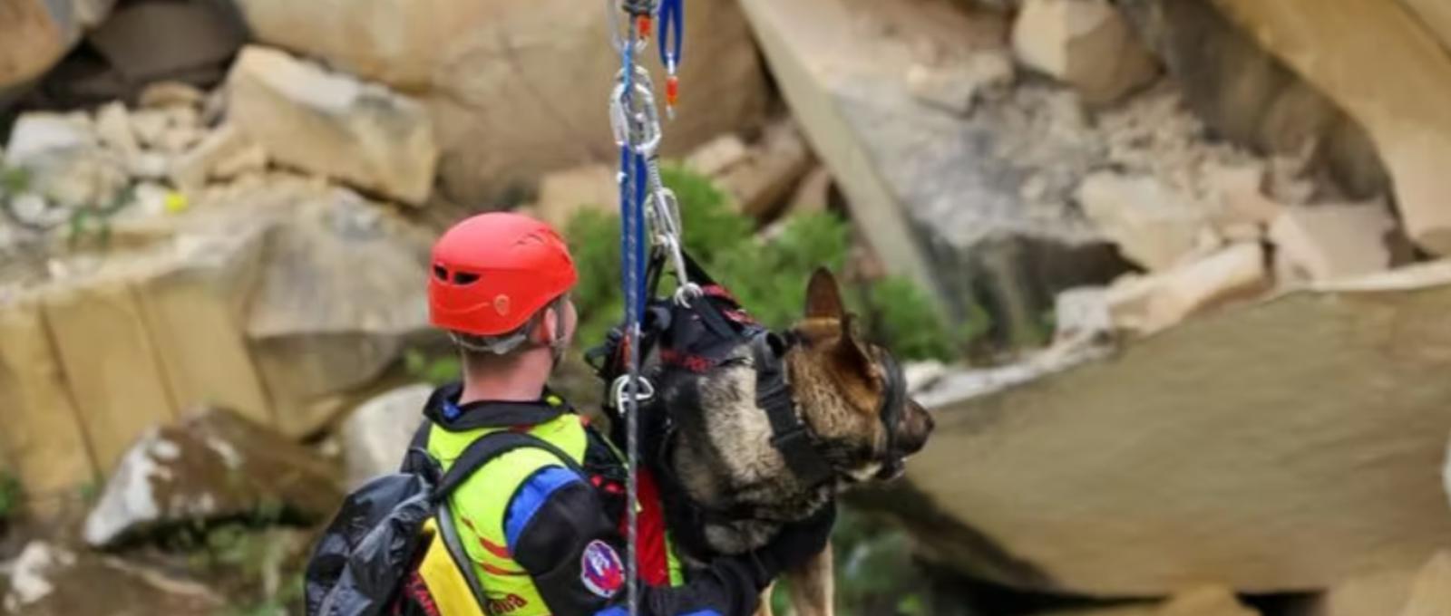 Trained search dog with its handler rides cable car