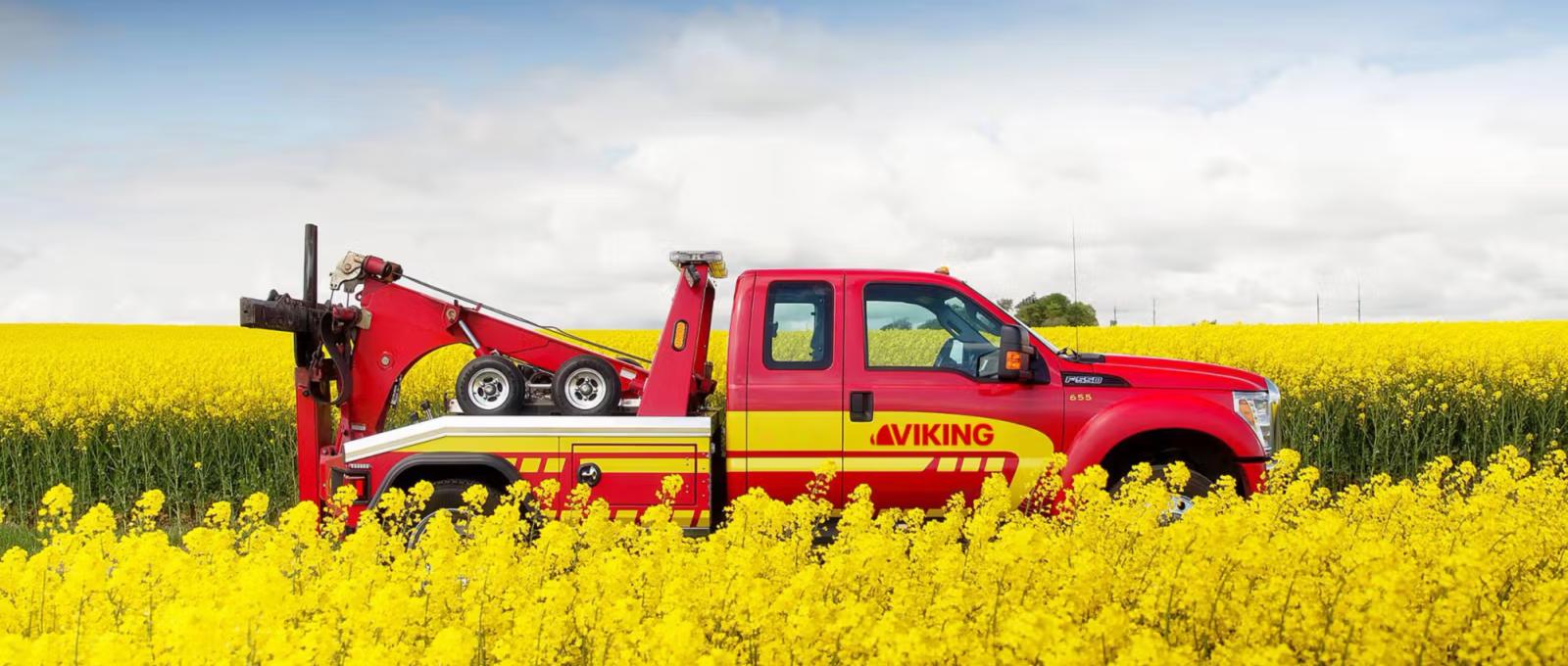 Viking assistance car on a road