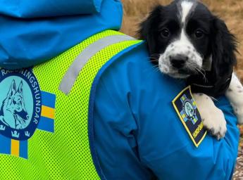 A woman who volunteers to find missing people and holds a search dog.