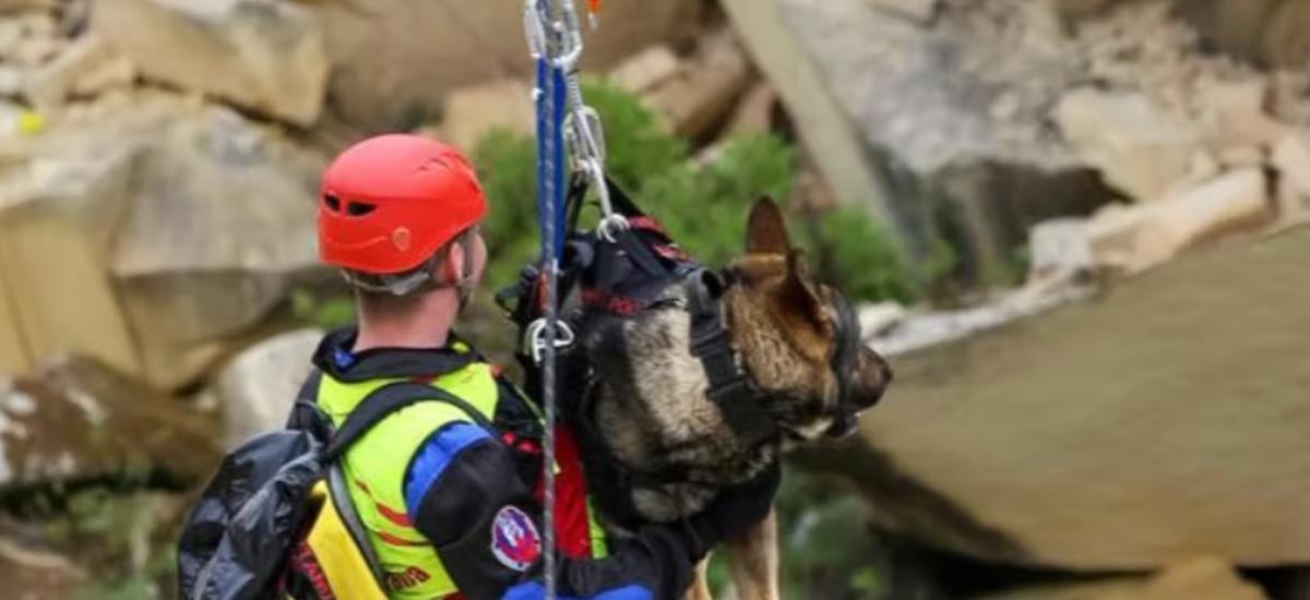 Guy ziplining with a search dog.