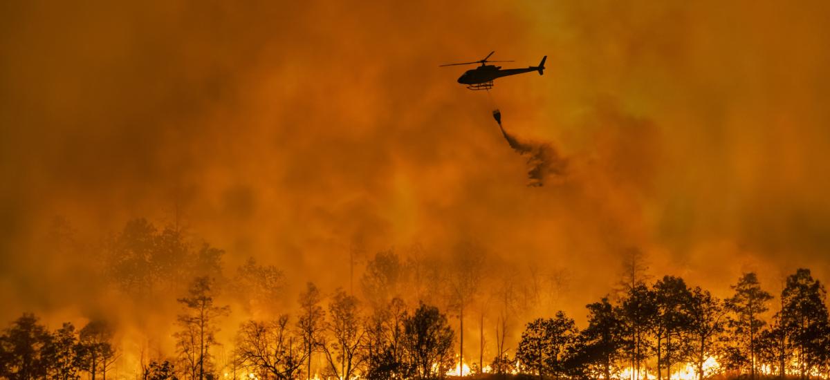 Helicopter with rescue worker as forest burns in background.