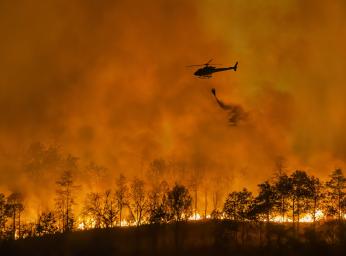 Helicopter with rescue worker as forest burns in background.