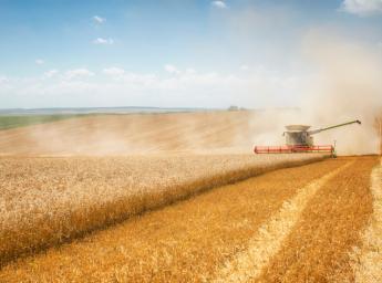 Combine harvester working in wheat field.