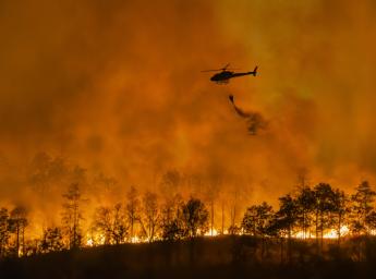 A forest burning and a helicopter dropping water to extinguish the wildfire